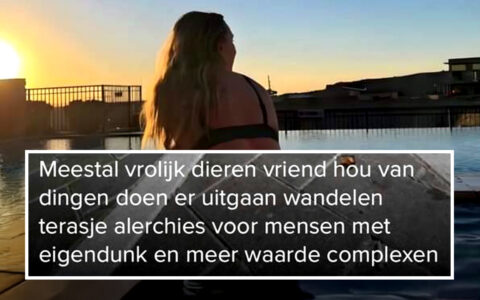 20 Tinderprofielen die spontaan kortsluiting in je hersenen veroorzaken